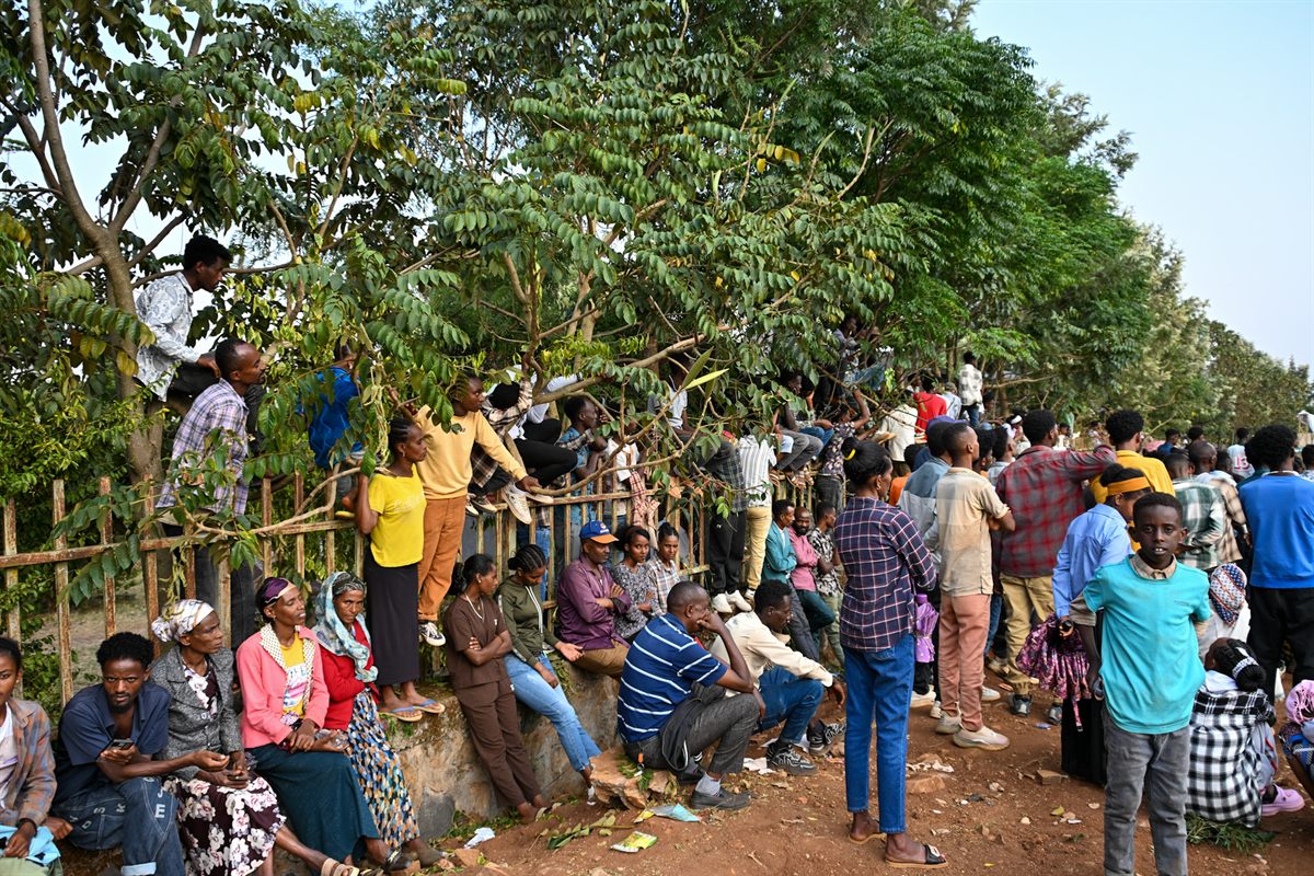 People waiting under trees around the field